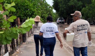 Saúde inicia campanha de vacinação contra raiva pela zona rural