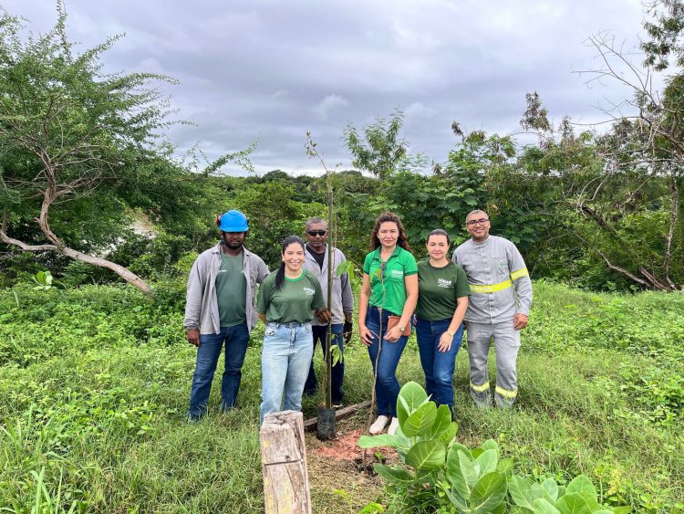 Prefeitura de Floriano celebra ‘Dia Internacional das Florestas’ com plantio de mudas
