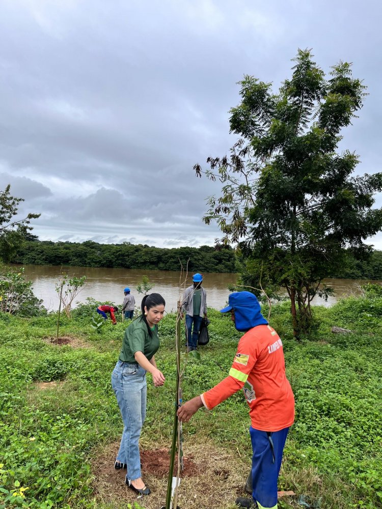 Prefeitura de Floriano celebra ‘Dia Internacional das Florestas’ com plantio de mudas
