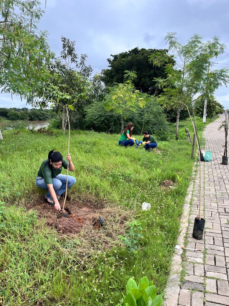 Prefeitura de Floriano celebra ‘Dia Internacional das Florestas’ com plantio de mudas