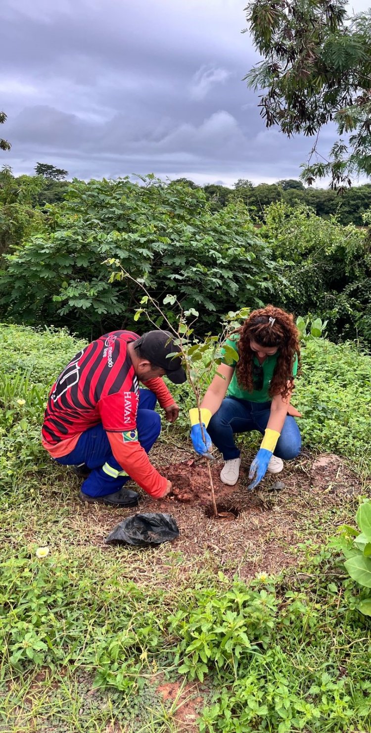 Prefeitura de Floriano celebra ‘Dia Internacional das Florestas’ com plantio de mudas