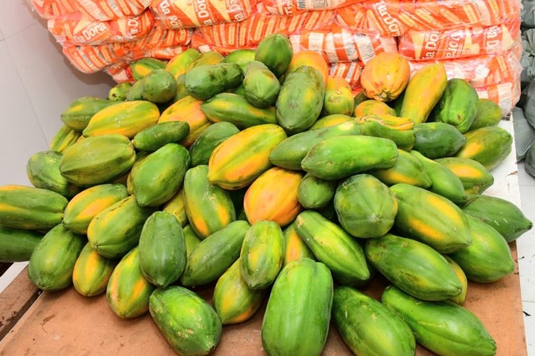 SEMED distribui produtos do Programa de Alimentação Escolar nas unidades de ensino municipais