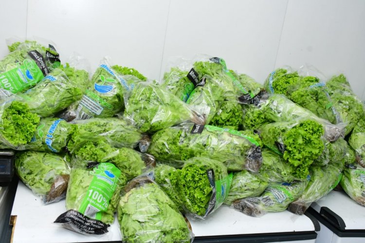 SEMED distribui produtos do Programa de Alimentação Escolar nas unidades de ensino municipais