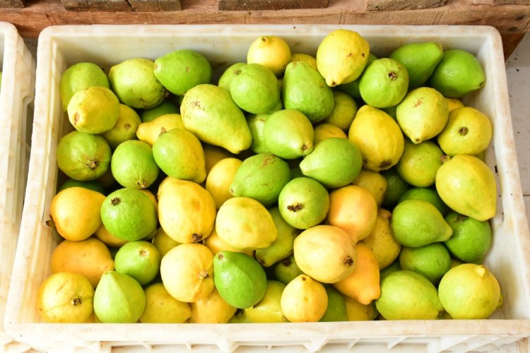 SEMED distribui produtos do Programa de Alimentação Escolar nas unidades de ensino municipais