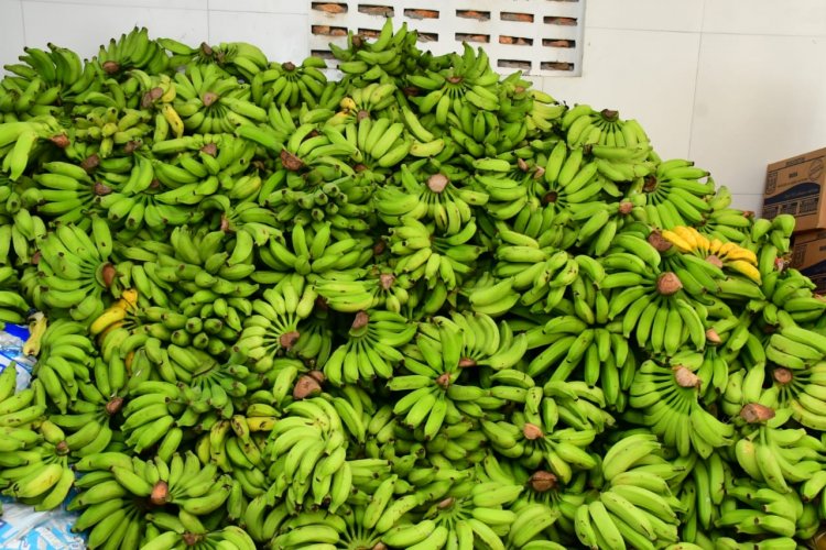 SEMED distribui produtos do Programa de Alimentação Escolar nas unidades de ensino municipais