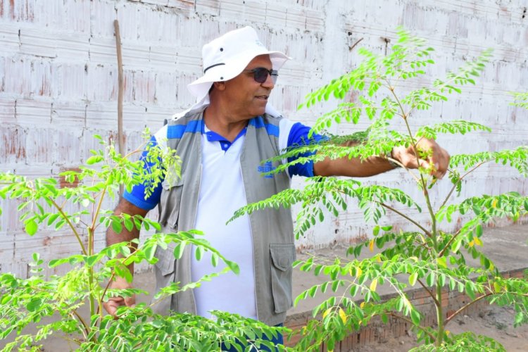 Rural: Prefeitura de Floriano participa de capacitação em caprinocultura do SEBRAE
