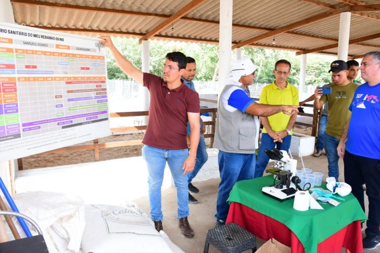Rural: Prefeitura de Floriano participa de capacitação em caprinocultura do SEBRAE
