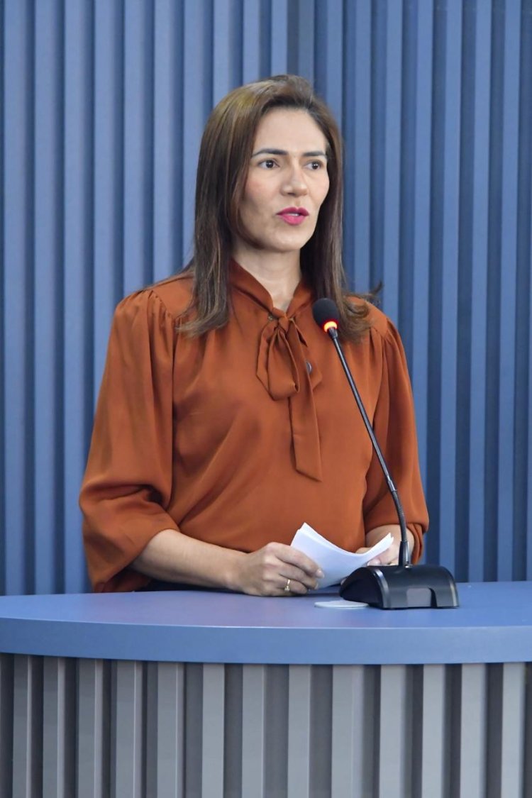 Prefeitura de Floriano e Governo do Estado realizam seminário em alusão ao Maio Laranja