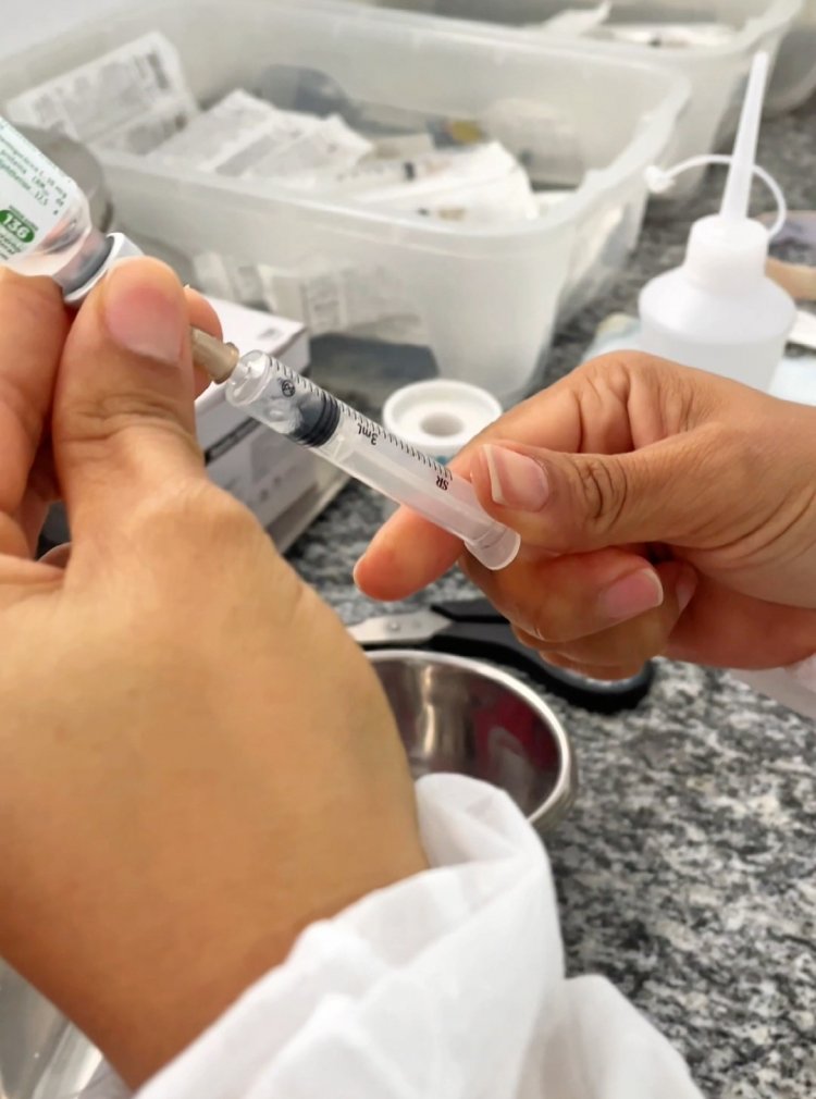 Floriano realiza dia “D” da Campanha de Vacinação contra o Influenza neste sábado (17)