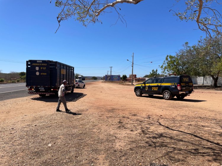 Saúde e PRF realizam ação de segurança nas rodovias de Floriano