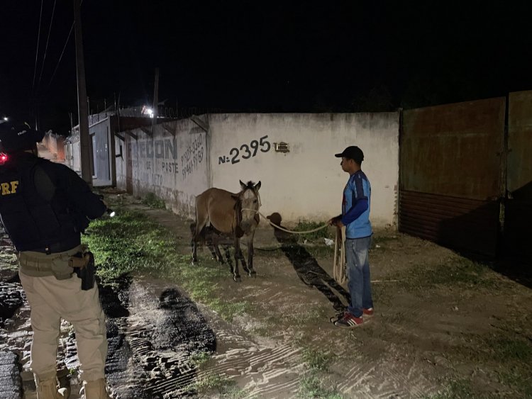 Saúde e PRF realizam ação de segurança nas rodovias de Floriano