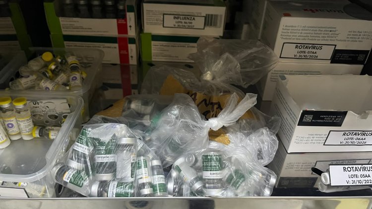 Prefeitura de Floriano recolhe vacinas contra a dengue fabricadas pelo Instituto Butantan após orientação do Ministério da Saúde