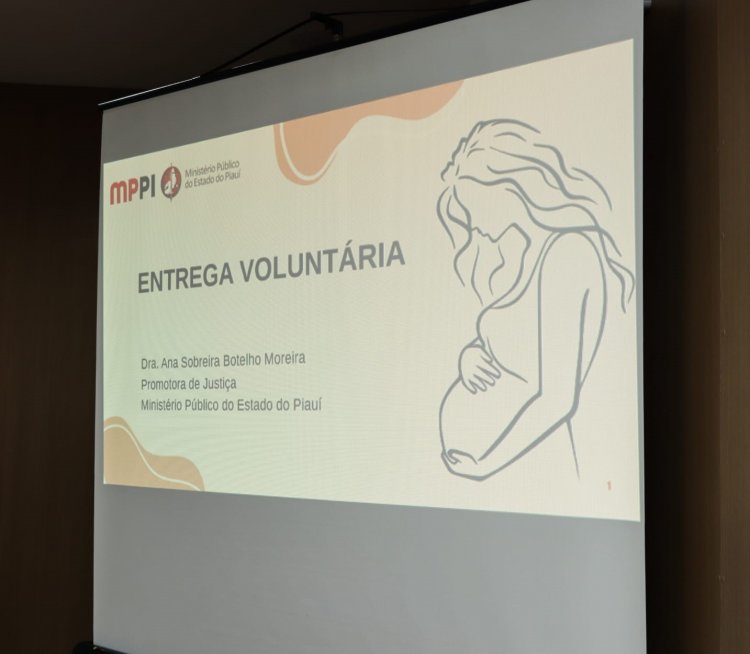 Servidores municipais participam do lançamento de fluxo para atendimento à entrega voluntária para adoção