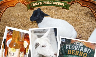 129 anos: Floriano Berro, I Feira de Caprinos e Ovinos, é realizada com apoio da Prefeitura de Floriano