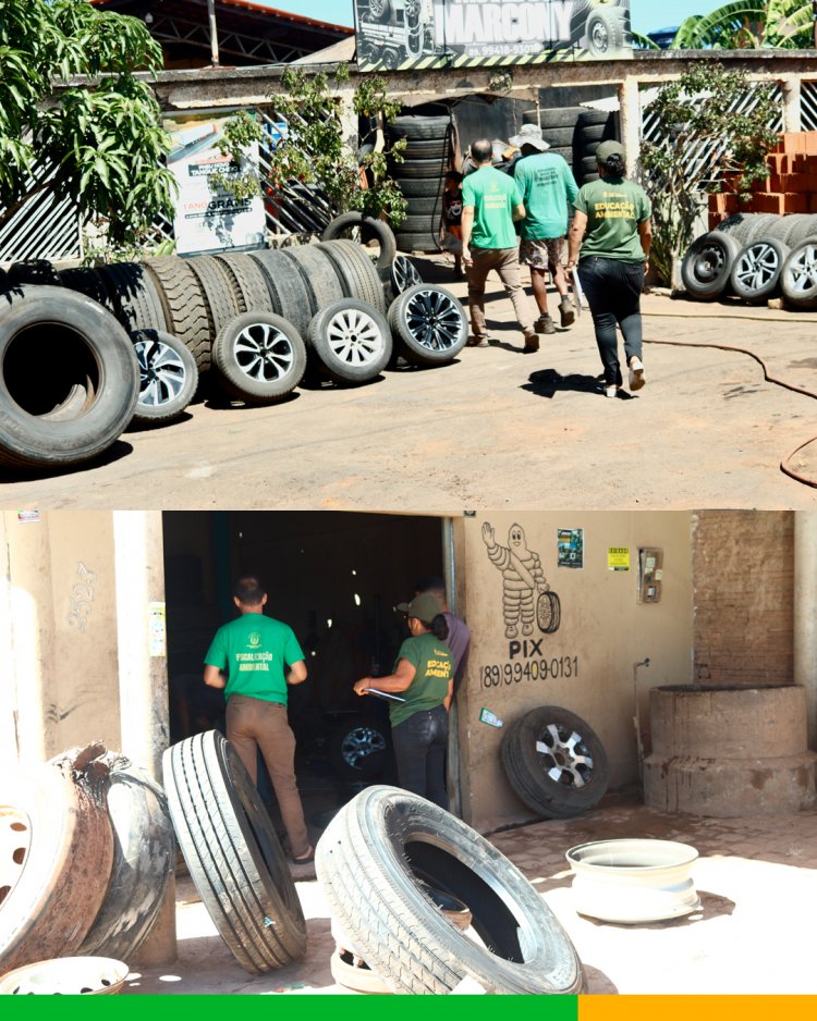 Secretaria de Meio Ambiente de Floriano intensifica ações contra queimadas e reforça projetos de sustentabilidade